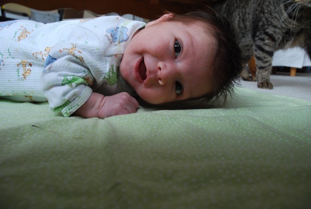 DSC_1585.jpg