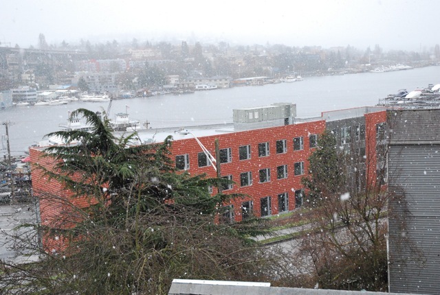DSC_1869.jpg