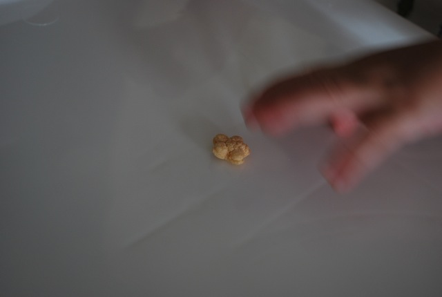 DSC_3324.jpg