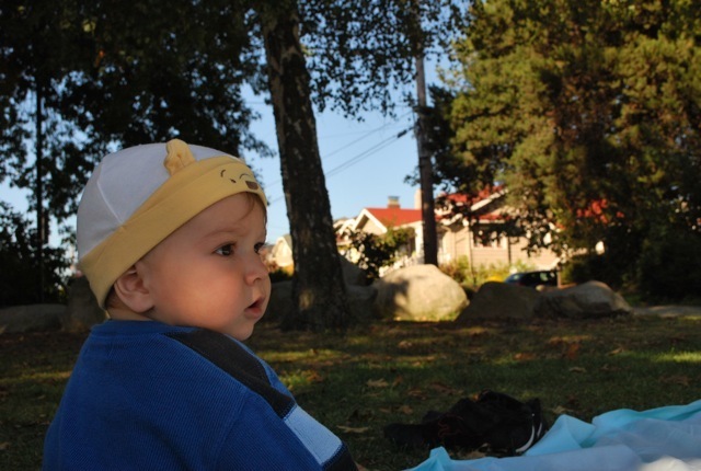 DSC_3530.jpg