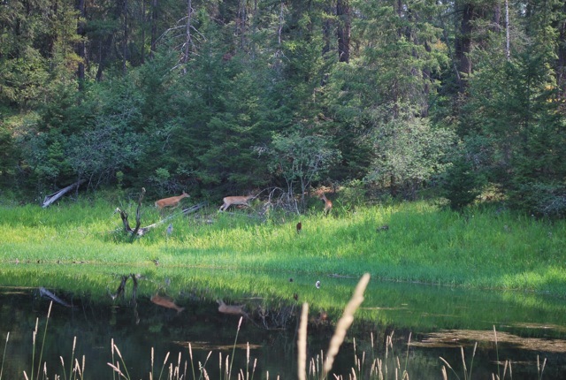 DSC_6279.jpg