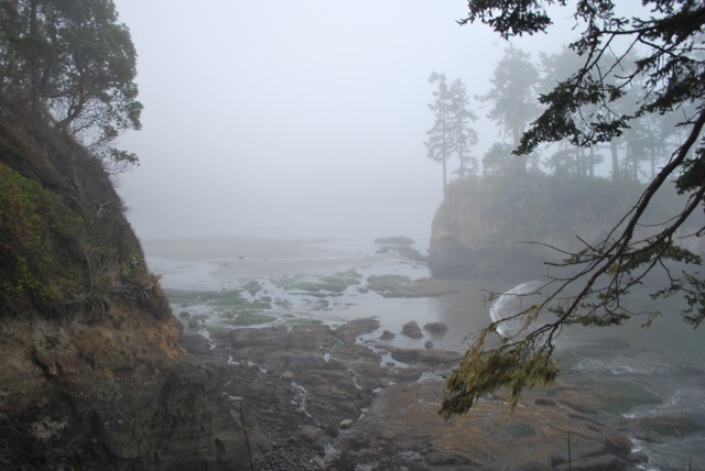 DSC_6824.jpg