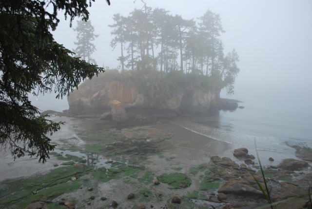 DSC_6827.jpg