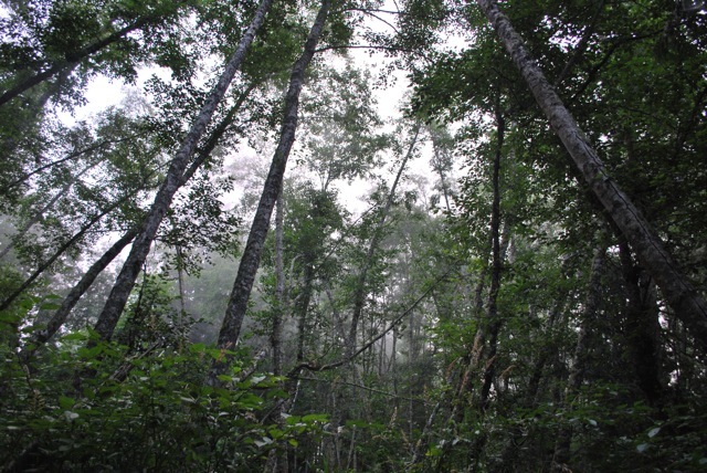 DSC_6834.jpg