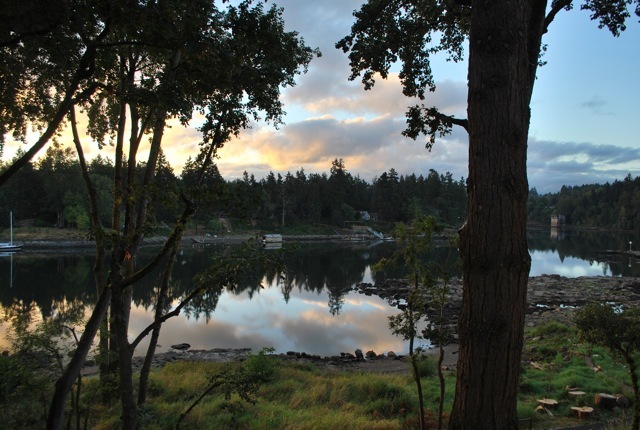 DSC_7017.jpg