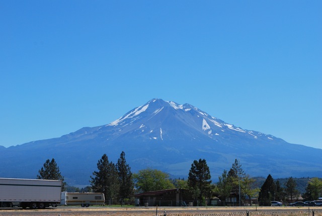 DSC_7032.jpg