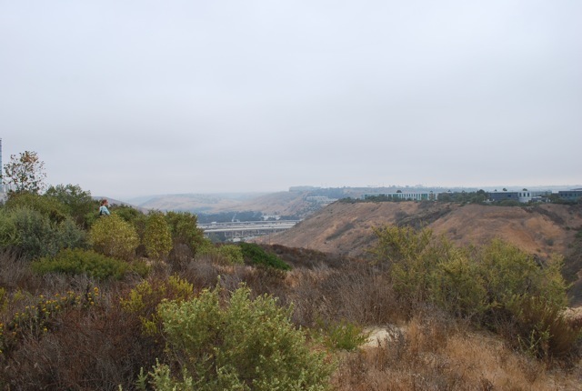 DSC_7119.jpg