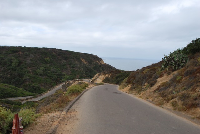 DSC_7196.jpg