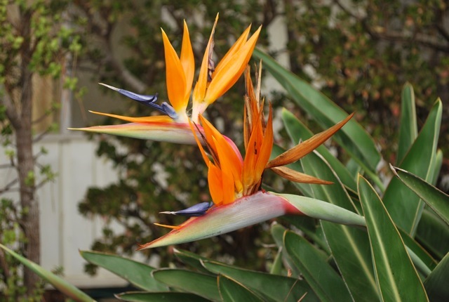 DSC_7371.jpg