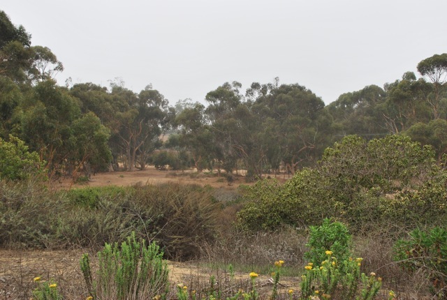 DSC_7376.jpg
