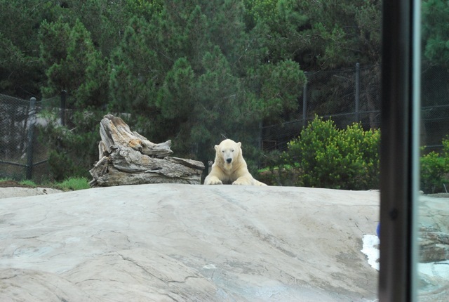 DSC_7514.jpg
