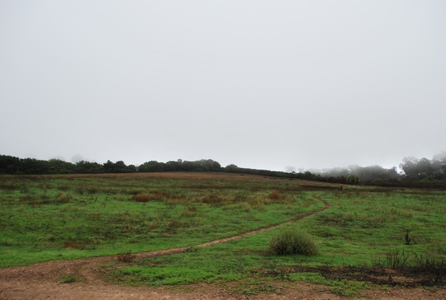 DSC_7551.jpg