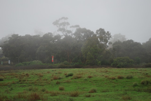 DSC_7553.jpg
