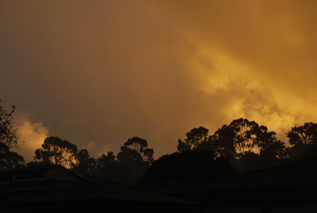 DSC_7840.jpg