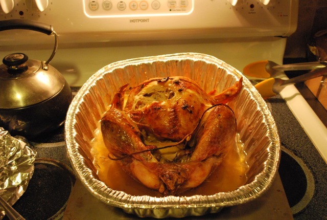DSC_7872.jpg