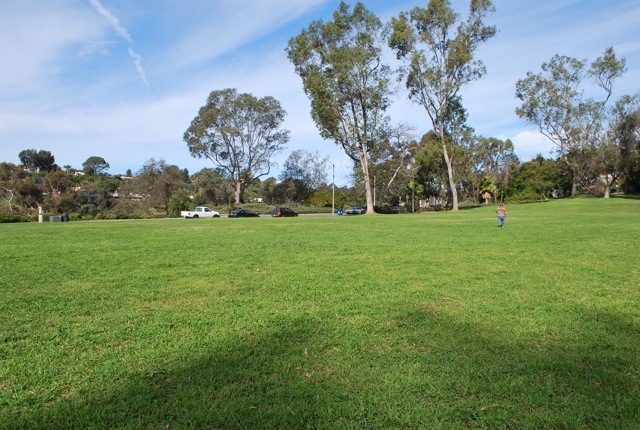 DSC_8242.jpg