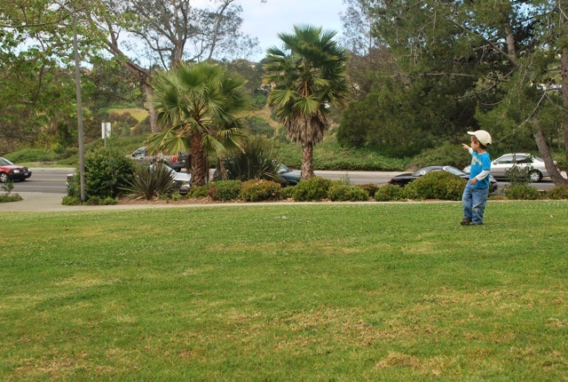 walking