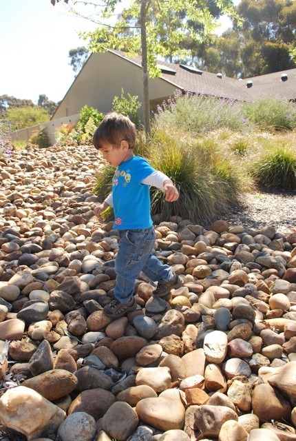 rocks