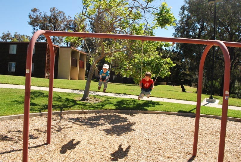 swing