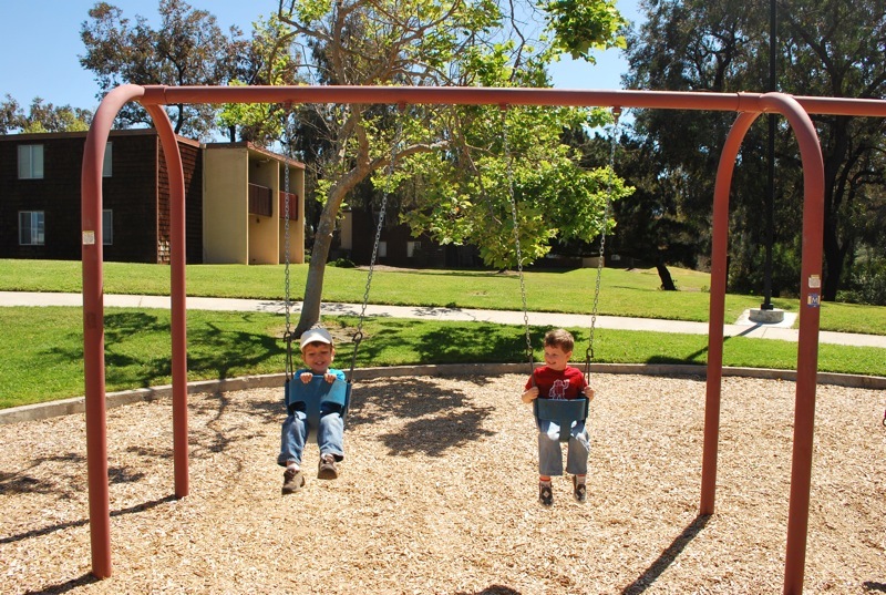 swing