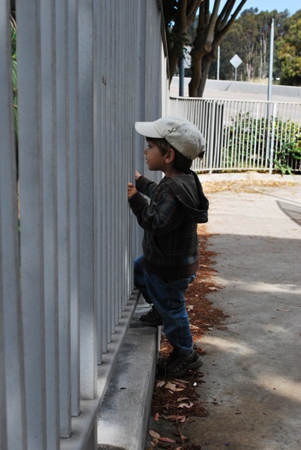 looking through bars