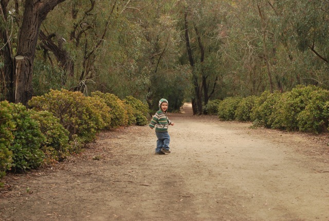 trail