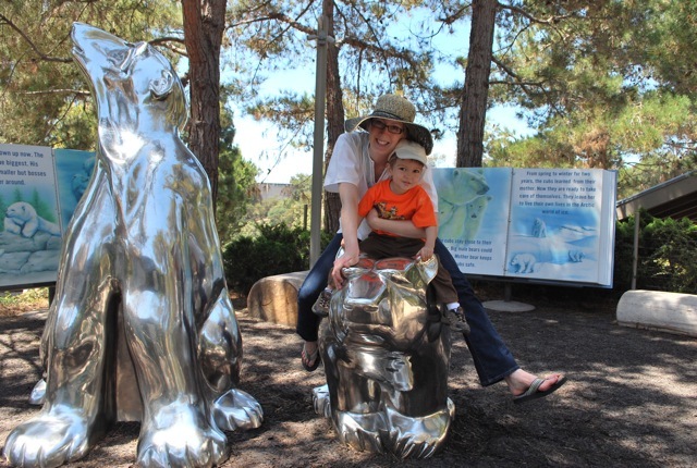 sitting on the bears