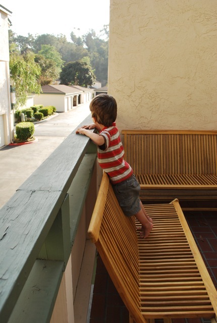 looking for the garbage truck
