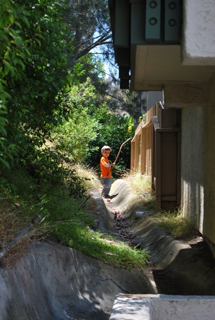 walking