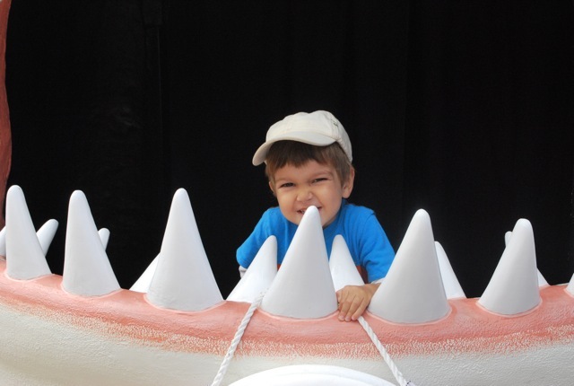 Shark