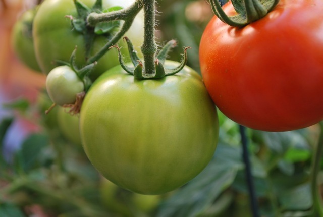 red and green