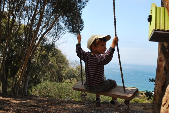 swing