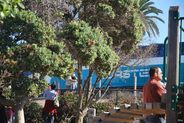 train