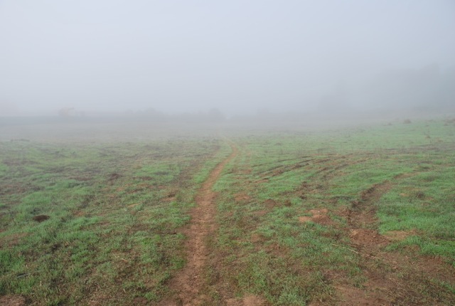 misty