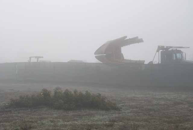 misty
