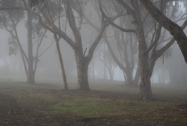 misty