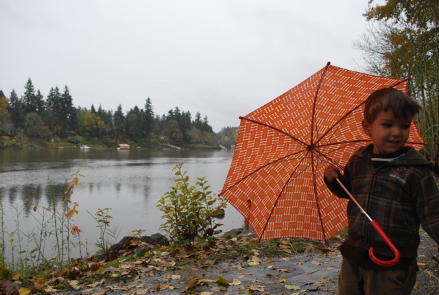 umbrella