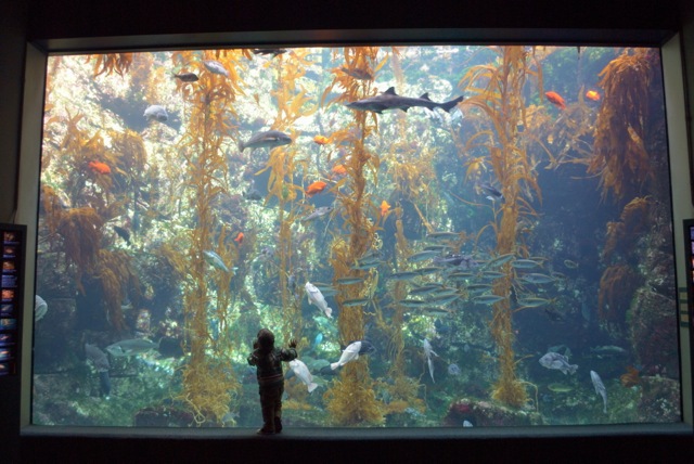 Wall of Water