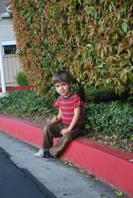 Curb