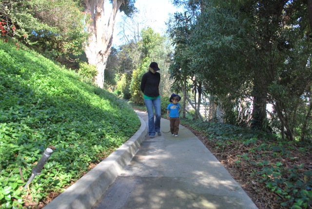 Walking