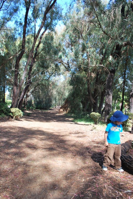 Walking