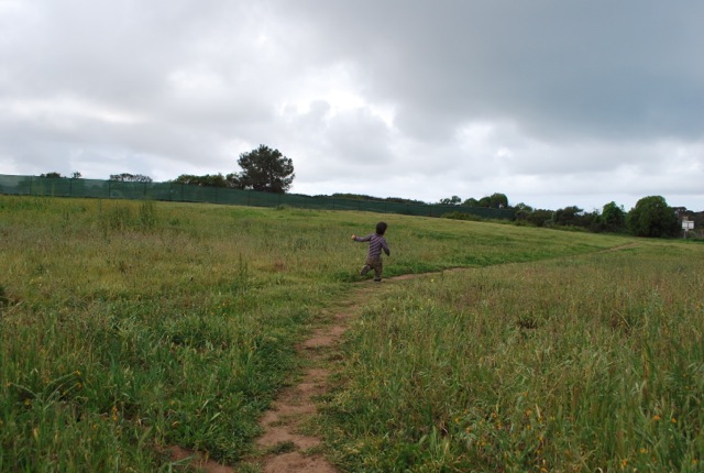 field