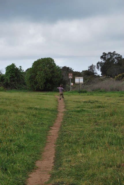 field
