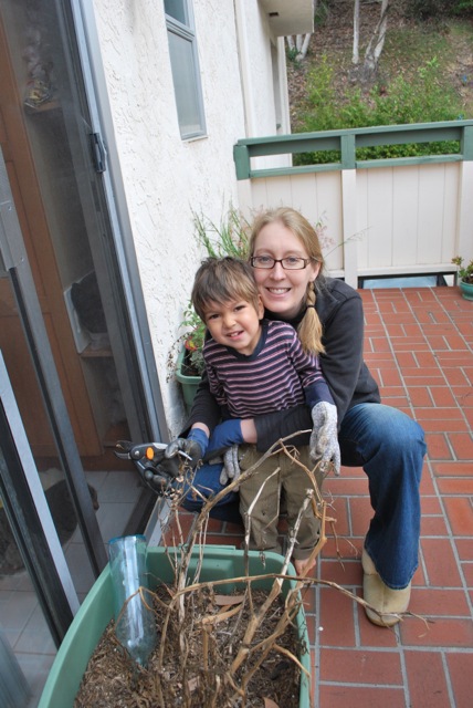 gardening
