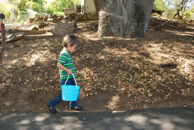 Looking for eggs