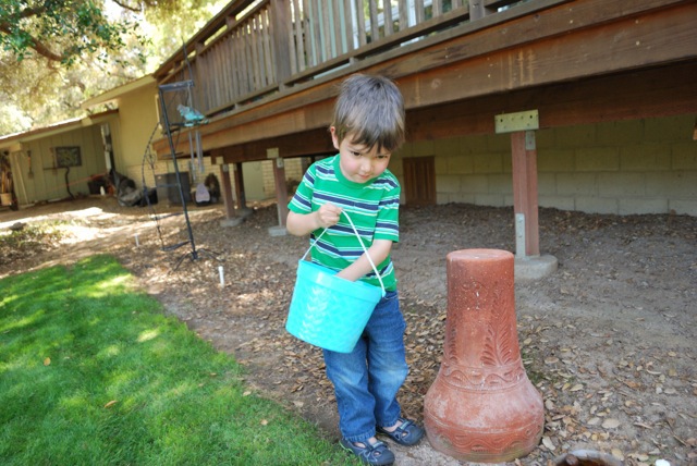 Looking for eggs