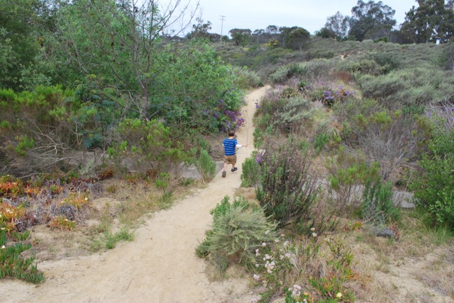 hike