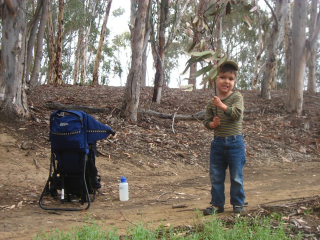 waving the stick