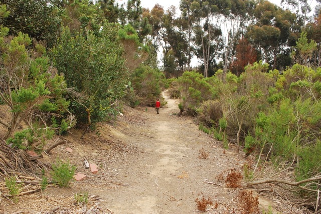 Trail