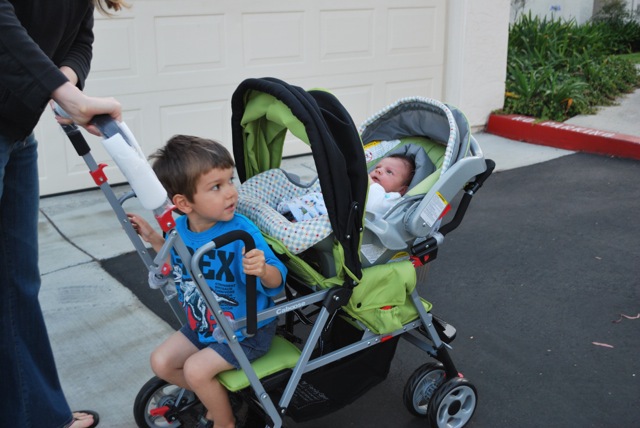 Stroller